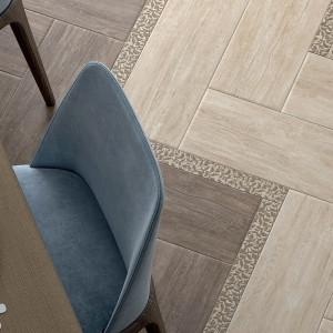 Акация (Acatcia)