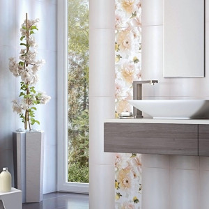 Страйп (Stripe)