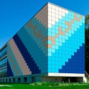 Твой Цвет (Your Color)