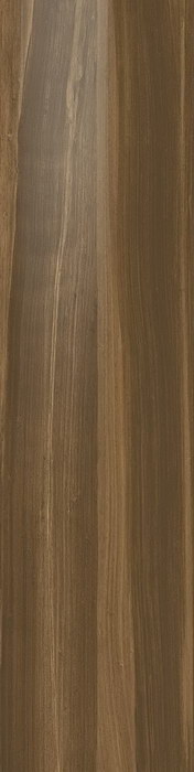 Керамогранит Aston Wood Elm Lap