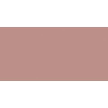 Керамогранит RW 08 неполированный