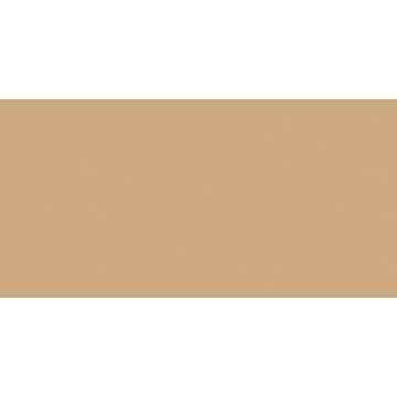 Керамогранит RW 15 полированный