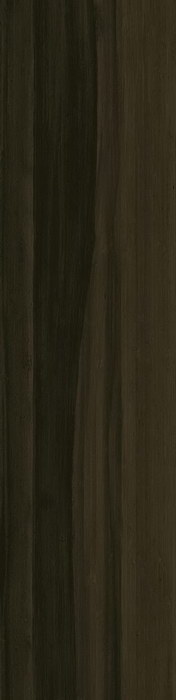 Керамогранит Aston Wood Dark Oak Lap