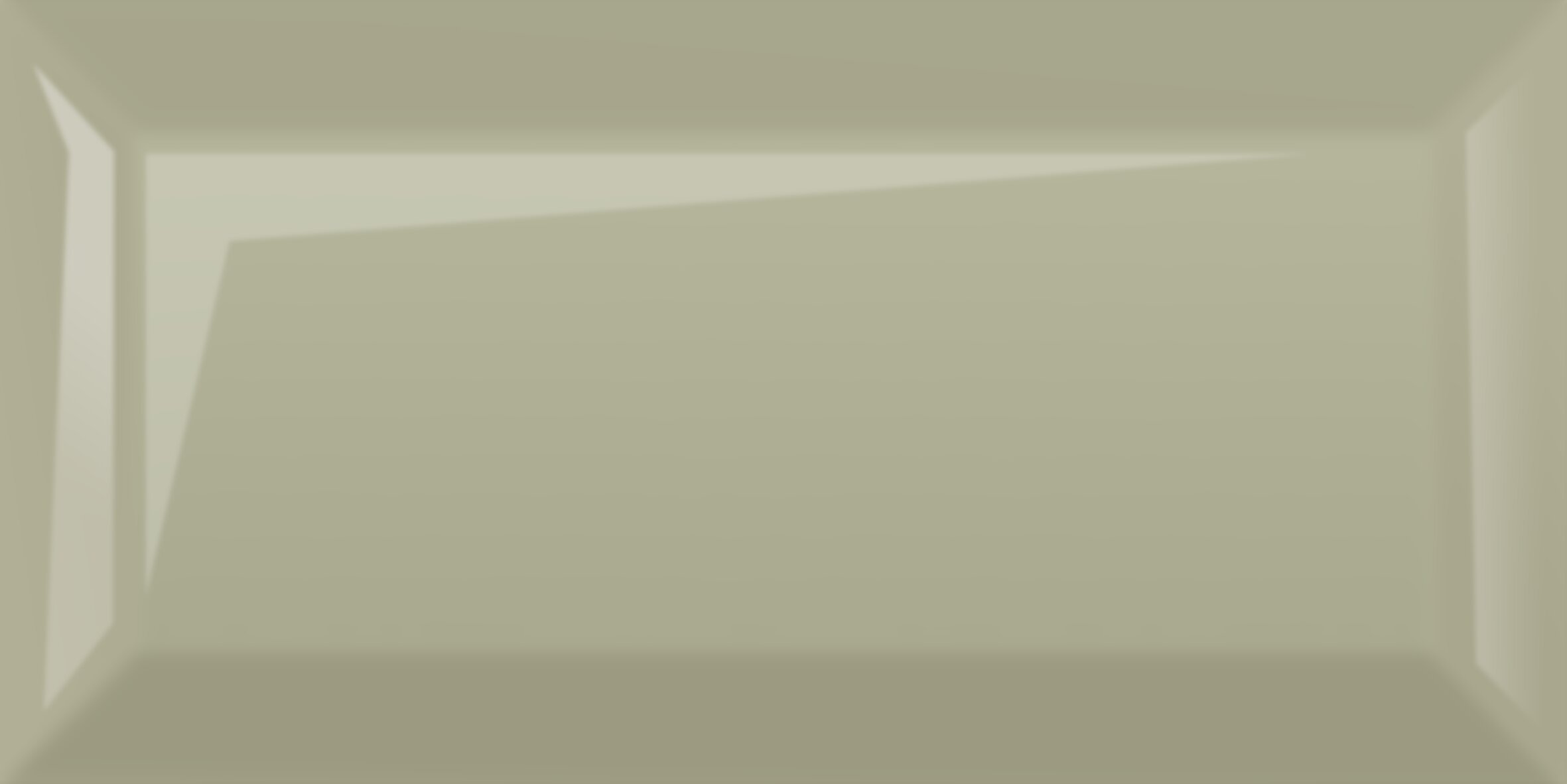 Metrotiles plane оливковый 100*200