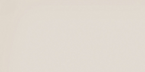 RW01 60x120x10 Непол.Рект.