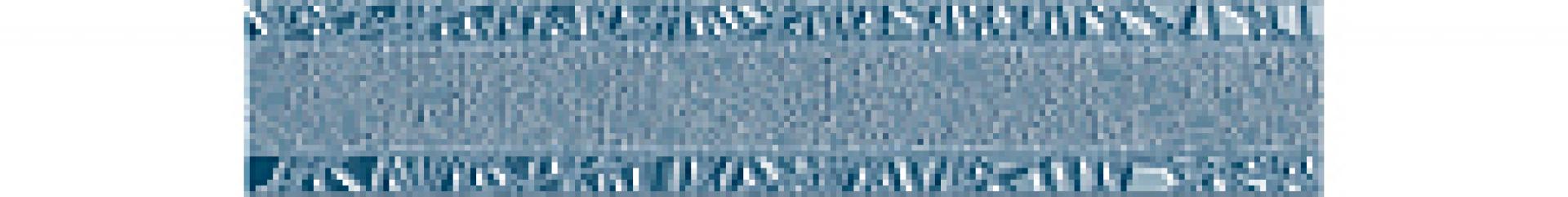 Бордюр Камлот Индиго Крэш