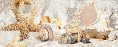 Декор 20,1*50,5 CALIZA BEIGE MARE2