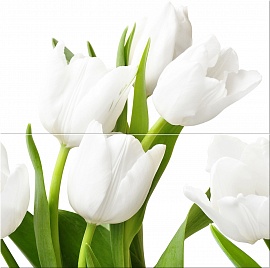 Панно Элара Верде Триумф