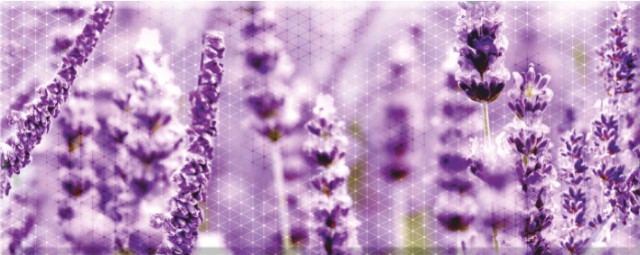 Декор Концепт 7Л тип 1