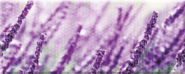 Декор Концепт 7Л тип 2