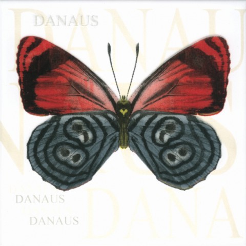 Декор Сан-Ремо тип 4