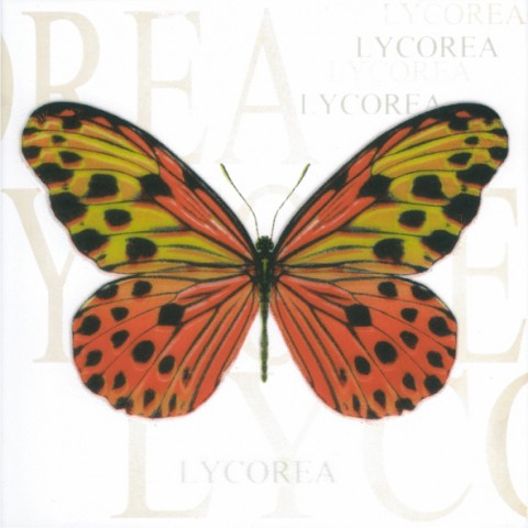 Декор Сан-Ремо тип 5