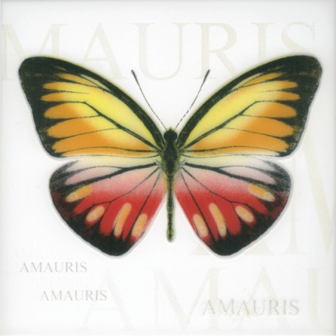 Декор Сан-Ремо тип 3