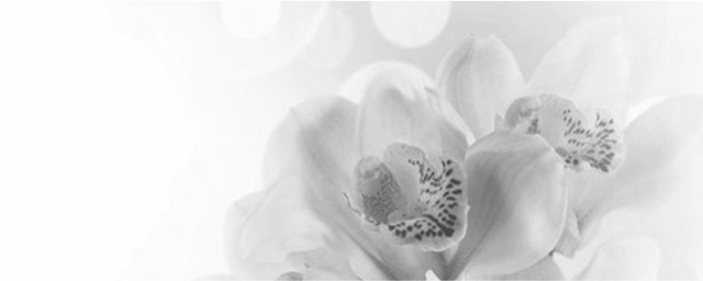 Декор Элегия 7 тип 1