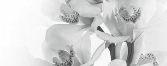 Декор Элегия 7 тип 2