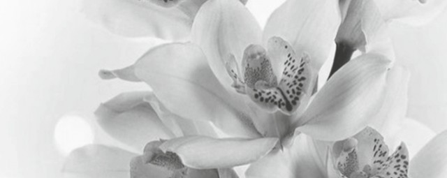 Декор Элегия 7 тип 3