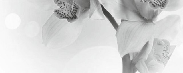 Декор Элегия 7 тип 4