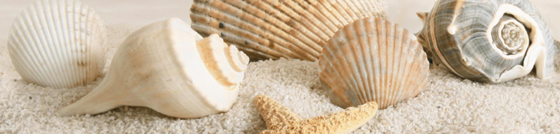 Бордюр Summer Stone Holiday