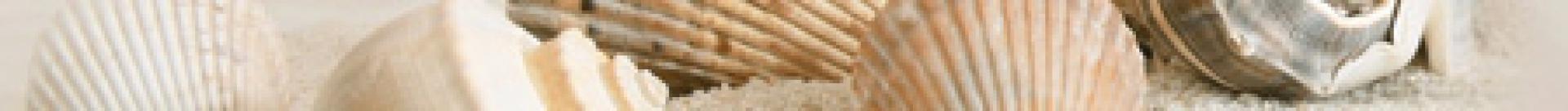 Бордюр Summer Stone Holiday