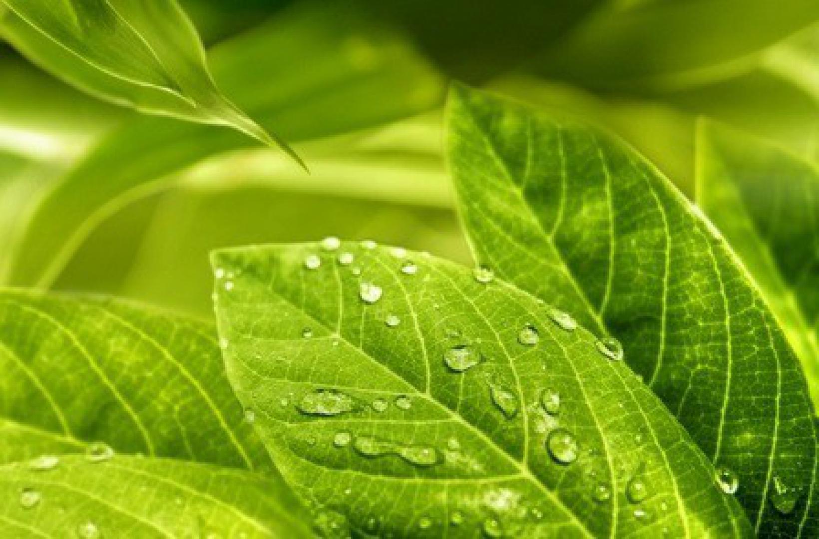 Декор Relax HD 1