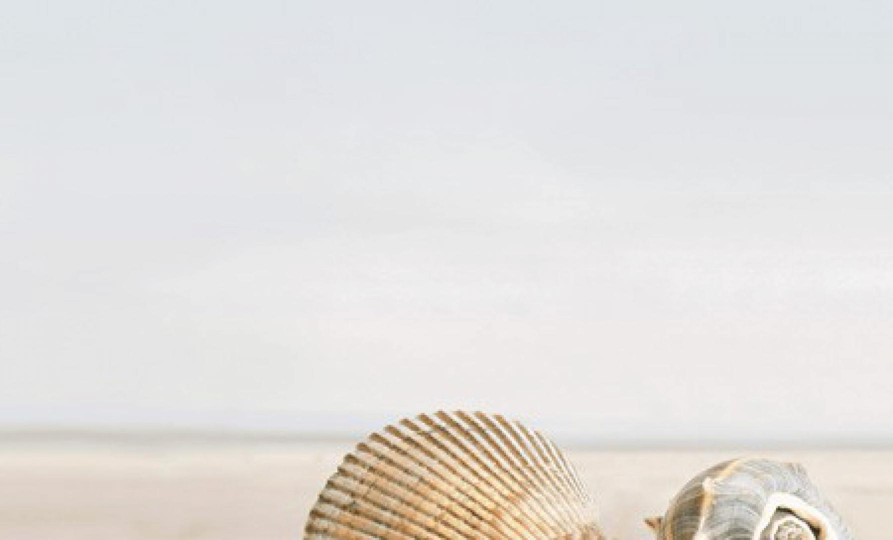 Декор Summer Stone Holiday 1