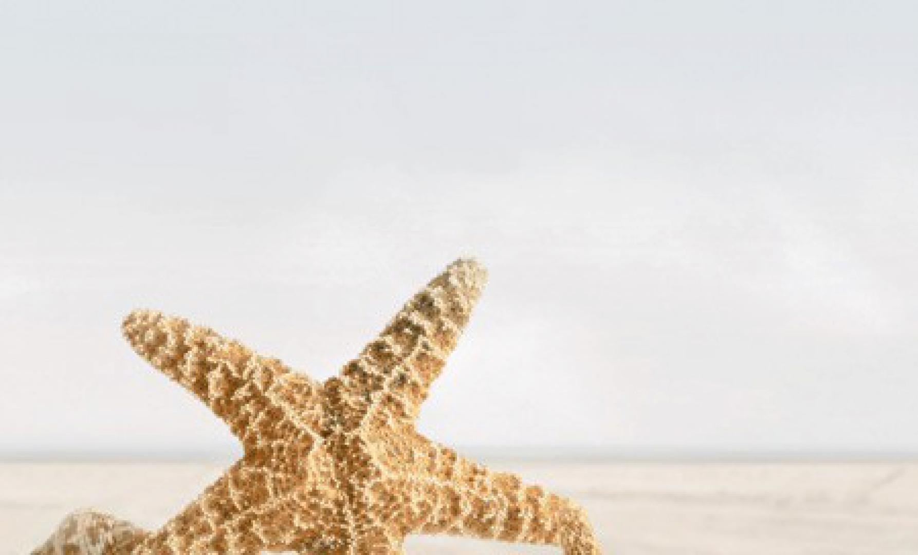 Декор Summer Stone Holiday 3