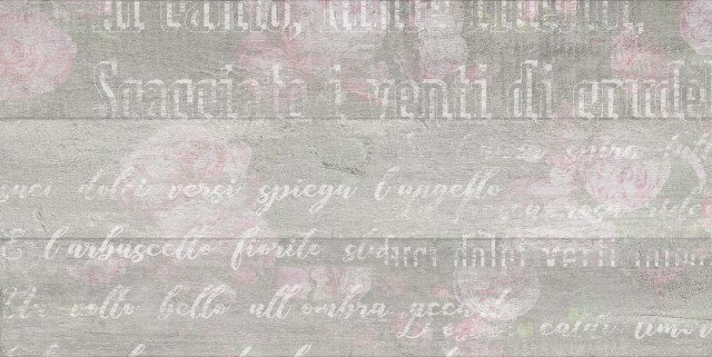 ABBA Flowers серый 300*600