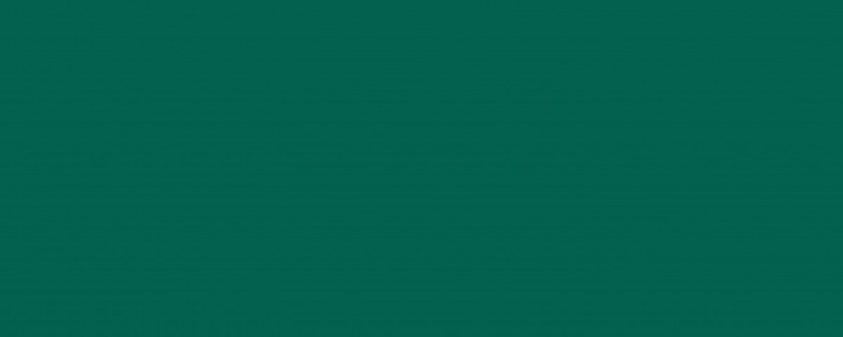 Arcobaleno бирюзовый 500*200   9М6061