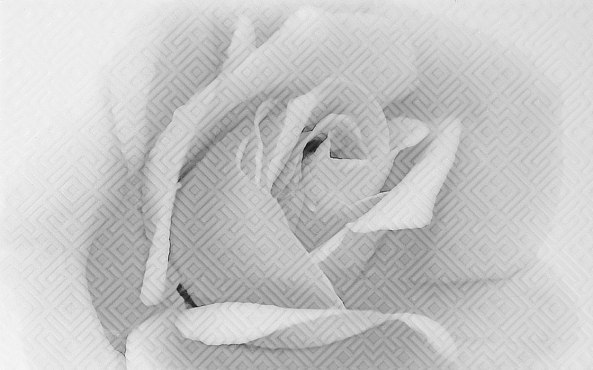 Декор Камелия черный 02