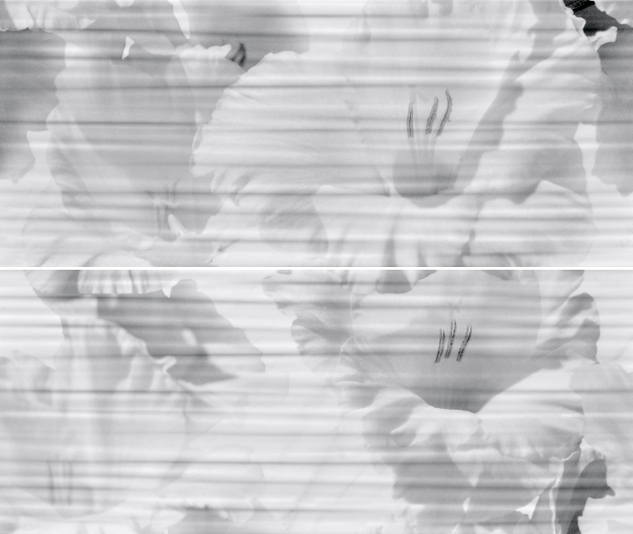 Celia white panno 01 500х600