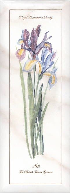 Декор Ноттингем цветы А84