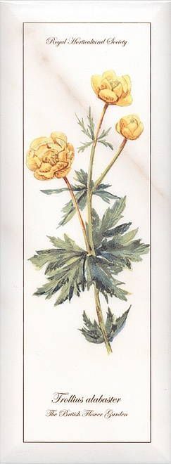 Декор Ноттингем цветы А86