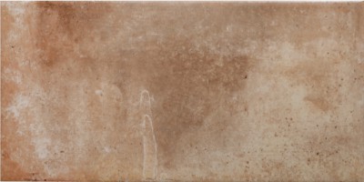 Плитка облицовочная Cotto Base BC