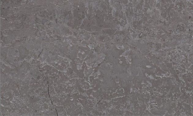 Elegance beige wall 02 300*500