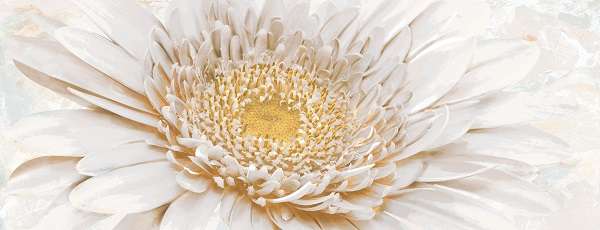 Декор Illusione Серый тип 1