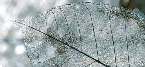 Декор Magia Серый тип 1