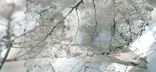 Декор Magia Серый тип 2