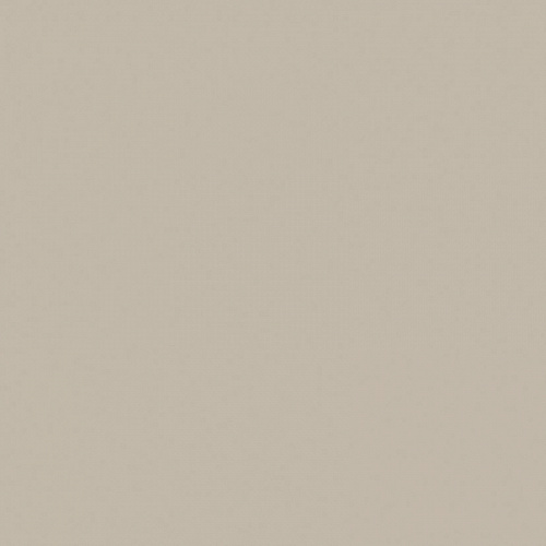 Керамогранит RW 031 неполированный