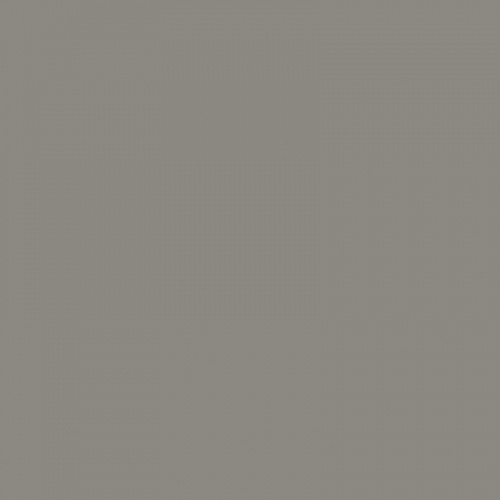 Керамогранит RW 032 неполированный