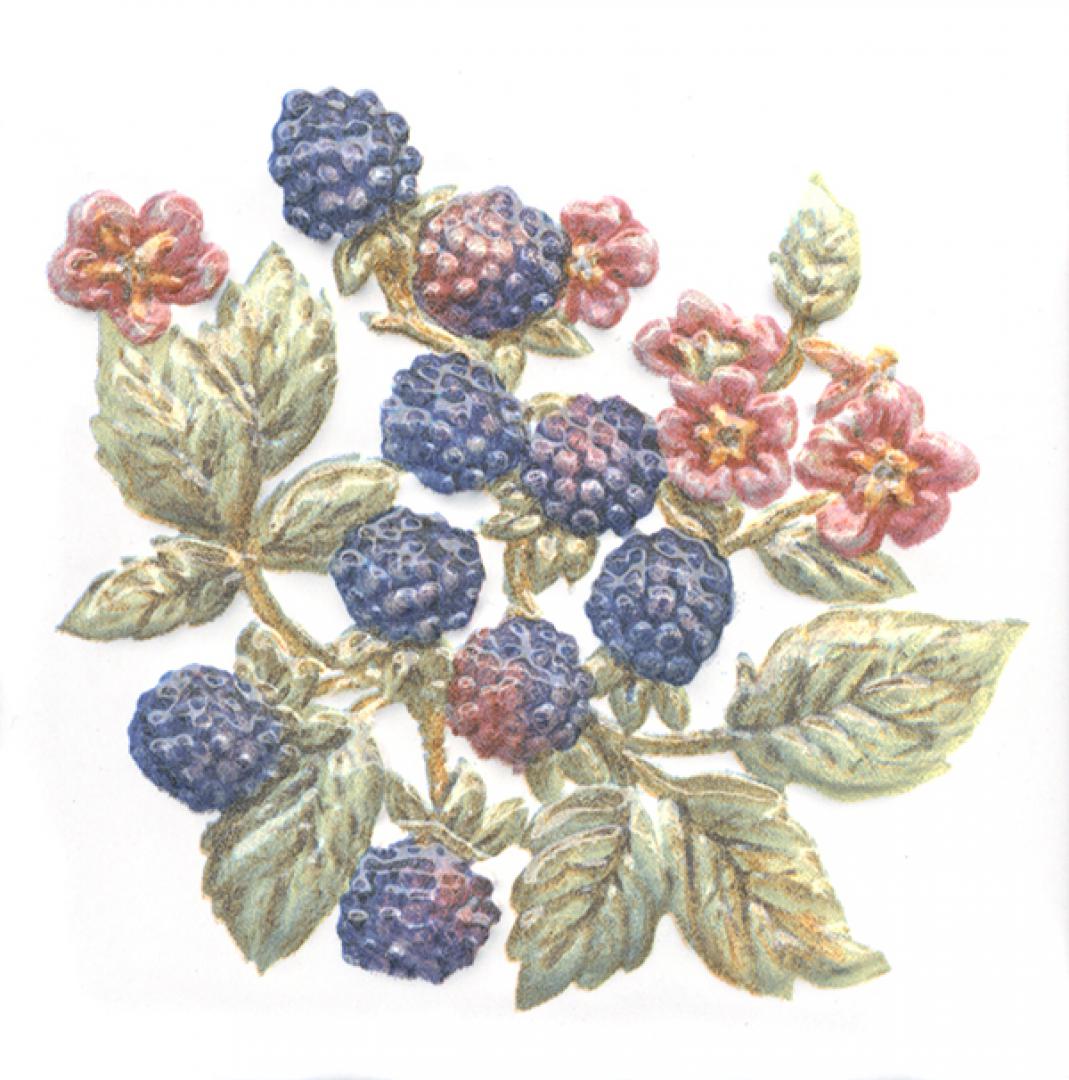 Декор Оранжерея Ежевика