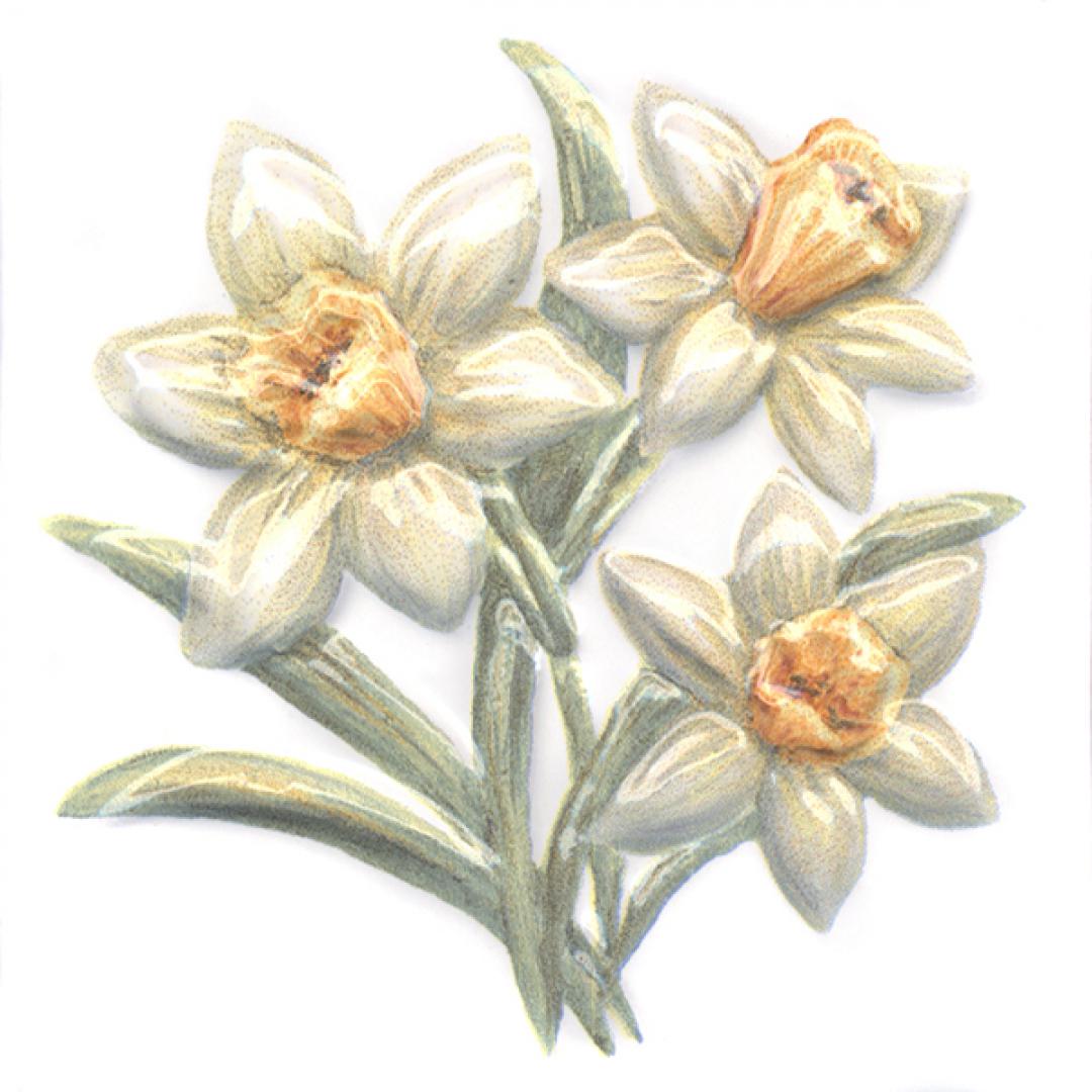 Декор Оранжерея Нарциссы